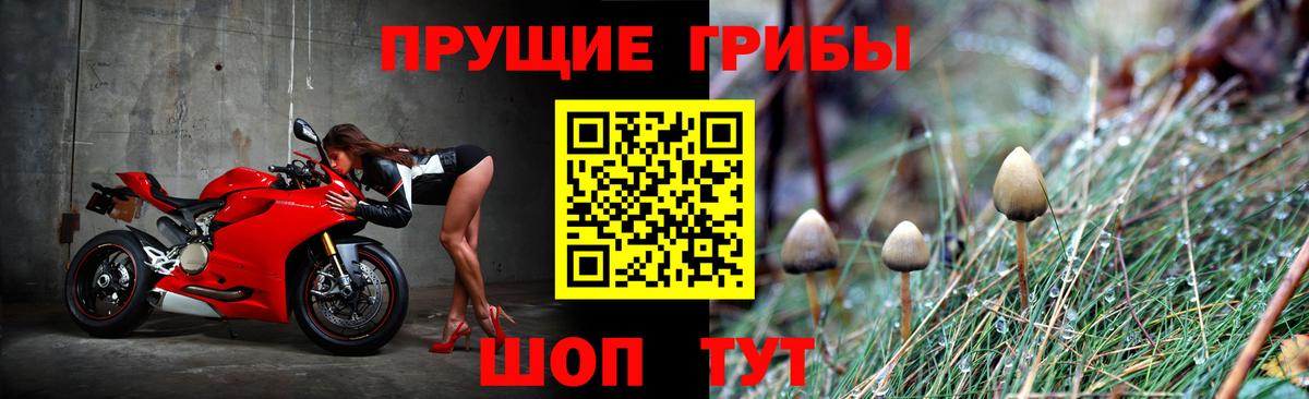 Псилоцибиновые грибы MAGIC MUSHROOMS Бор